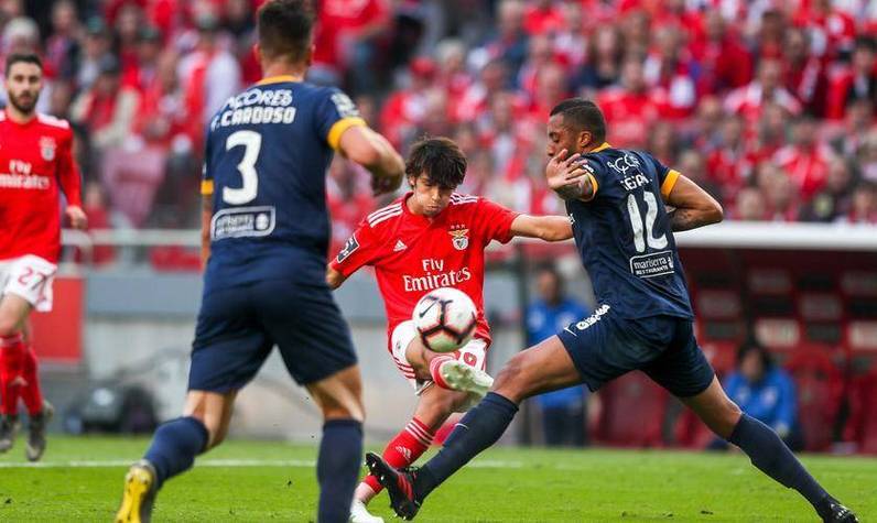 包含今晚体能课后，本菲卡造点机会备战欧联，目标明确，团队化学反应显著的词条乐鱼体育